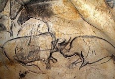 30 años de la Cueva de Chauvet