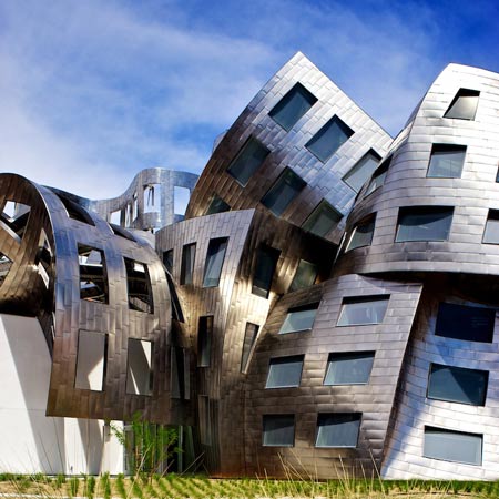 Frank O. Gehry: Architecture In motion.