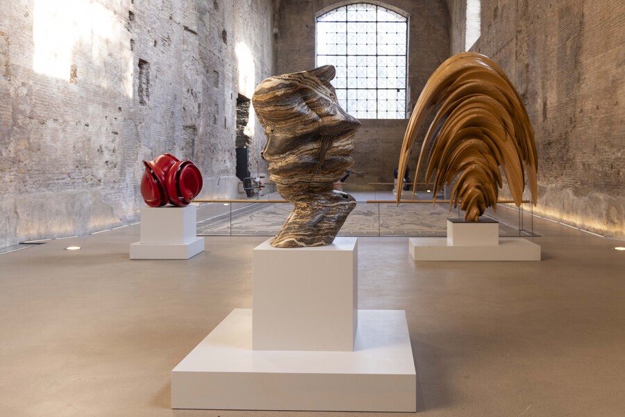 08.11.24 Bam Tony Cragg Ph. Monkeys Video Lab 21